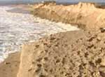 Praia da Costa da Caparica
