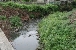 Teixeira Lopes denunciou a falta de despoluição da Ribeira da Granja